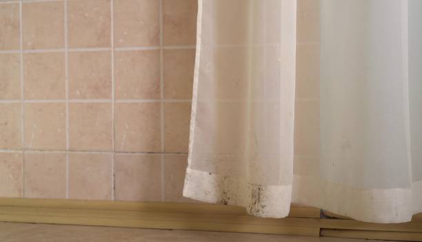 Mold Remediation for Rental Properties in Somerville, MA