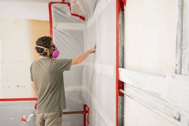 Mold Remediation for Vacation Homes in Somerville, MA