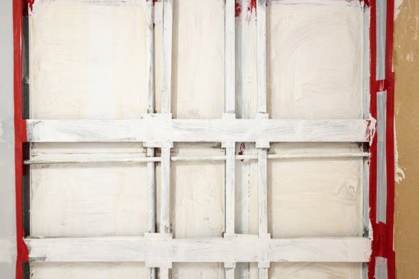 Mold Documentation for Insurance Claims in Somerville, MA
