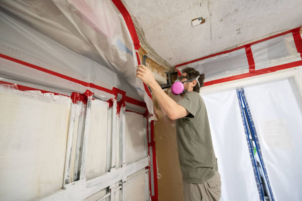 Best Post-Construction Mold Inspection  in Somerville, MA
